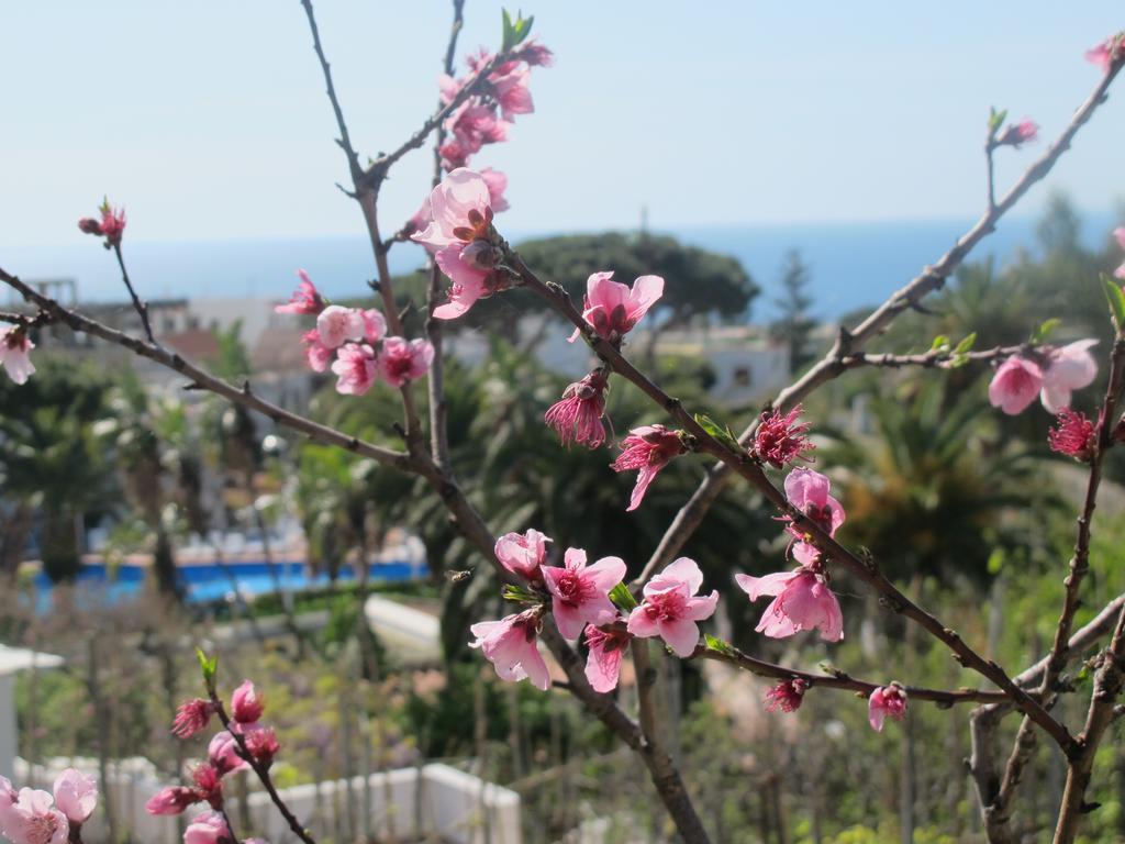 Forio di Ischia Aparthotel Villa Marinu المظهر الخارجي الصورة