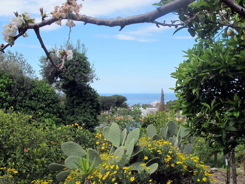 Forio di Ischia Aparthotel Villa Marinu المظهر الخارجي الصورة